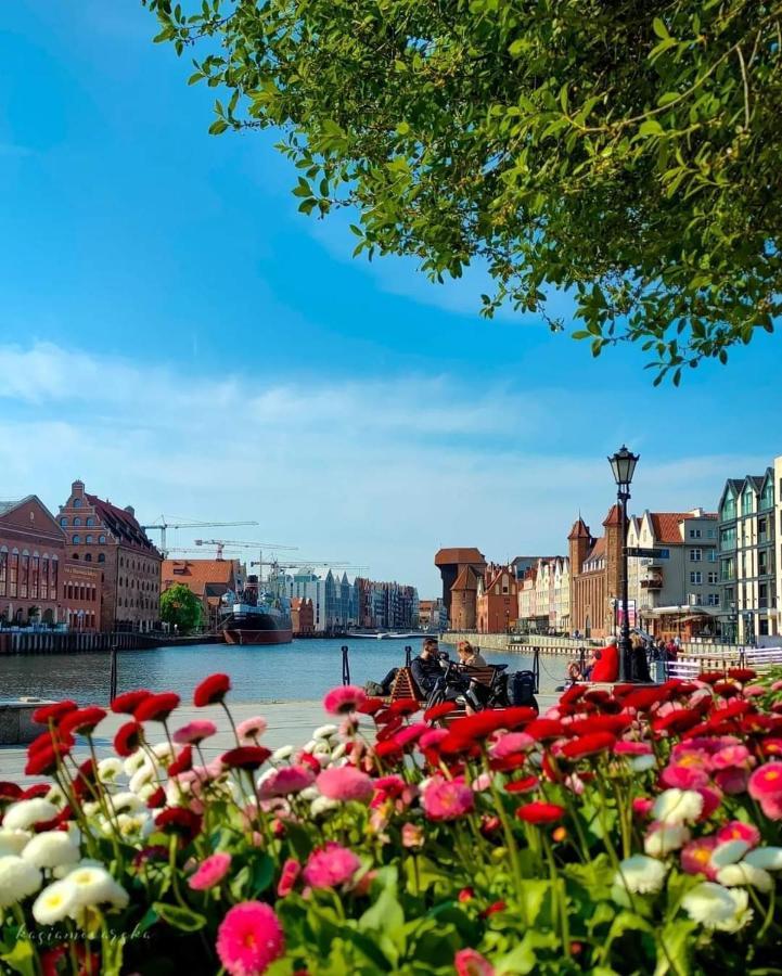 Gdansk Centrum - Apartament 3 - Pokojowy Z Duzym Tarasem Dış mekan fotoğraf